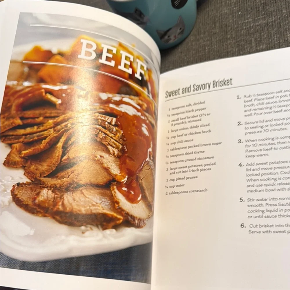 Cook Instant! Recipe Book. Never Used. For your ELECTRIC PRESSURE COOKER!
